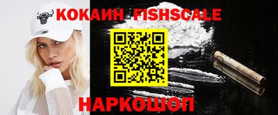 гашик Дубна
