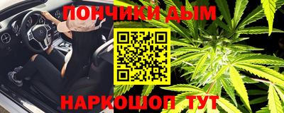 гашик Дубна