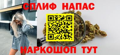 гашик Дубна