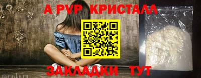 гашик Донской