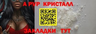 гашик Донской