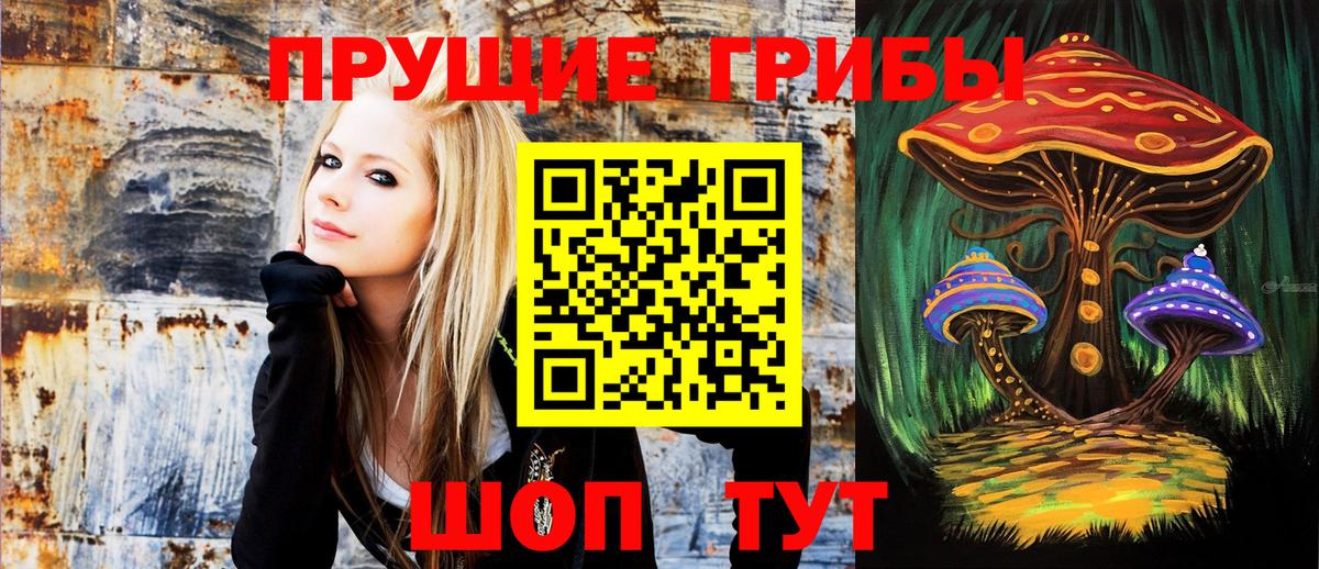 Галлюциногенные грибы мухоморы Михайловск