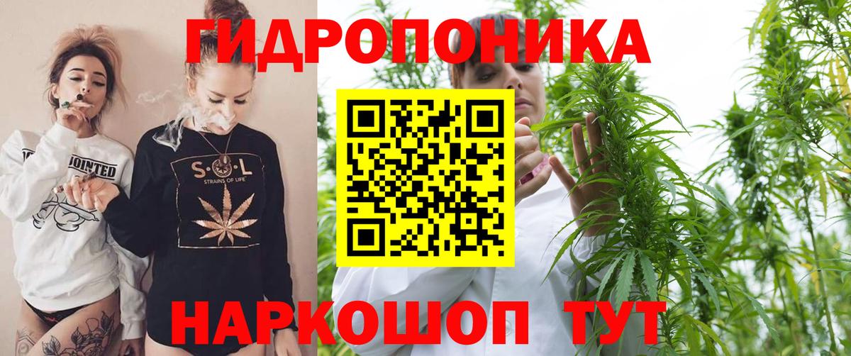Каннабис ГИДРОПОН  Вход с VPN  Бошки Шишки Amnesia  Михайловск  Бошки марихуана OG Kush 